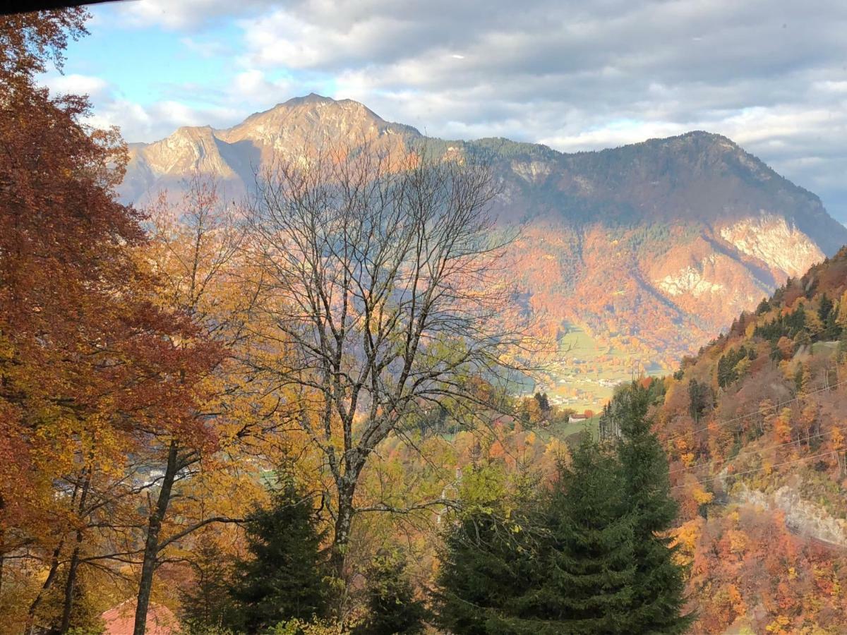 Homestay Du Bois Des Fugiers Ugine
